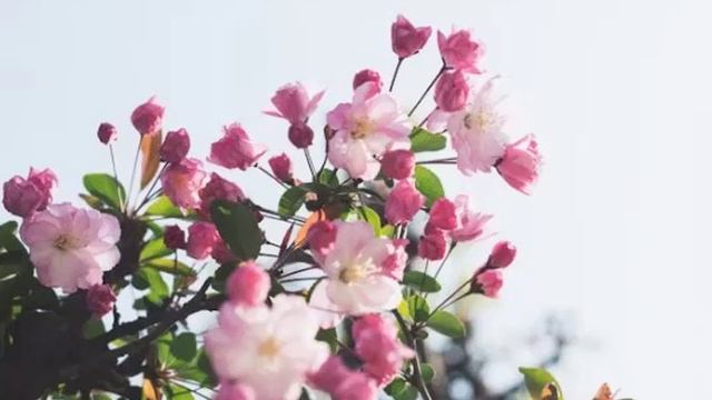 НАСЛЕДСТВО ДЕТЯМ смотреть онлайн