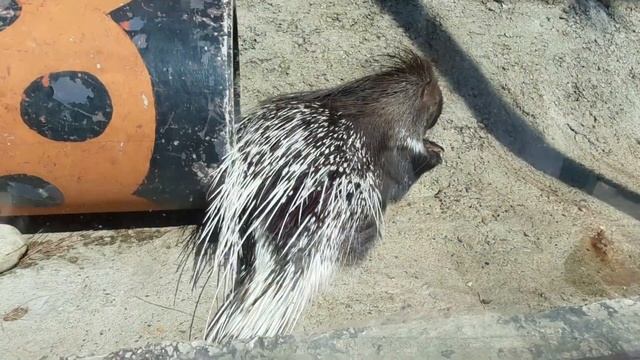 Геленджик смотреть онлайн