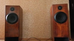 акустика на 100ГДШ47-8