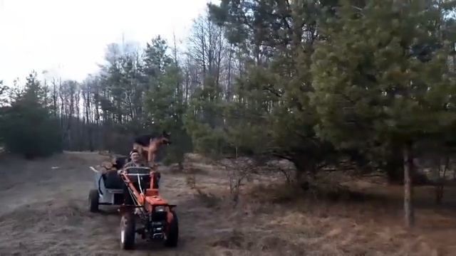 Везу дрова смотреть онлайн