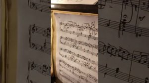 Фрагмент урока online Tchaikovsky Seasons October Чайковский Времена года Октябр.mp4