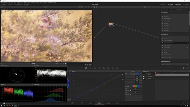 Davinci Resolve 15 Tutorial - Fun Lab Color Grading (Amazing Yellows) смотреть онлайн