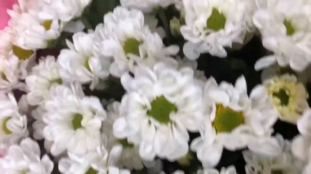 МОНОБУКЕТ ИЗ ХРИЗАНТЕМ САНТИНИ смотреть онлайн