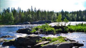 Поселок Умба, Беломорье и бесчисленные реки Крайнего Севера.