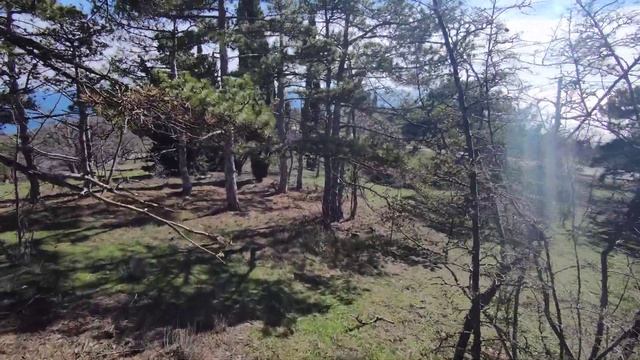 Продажа участка 7 сот ИЖС, 700 м от моря! +79787051581