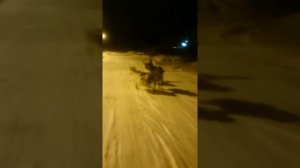 Козы и дети, вернее и внуки. Общение детей с животными приносит пользу обеим сторонам.