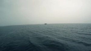 Подводная охота. Владивосток. Маяк Басаргина.
