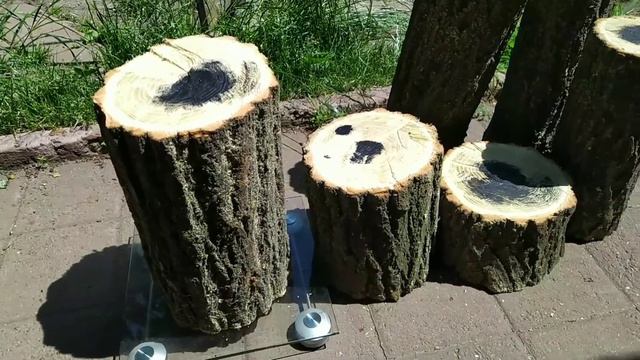 Распиловка кругляка для токарного станка .