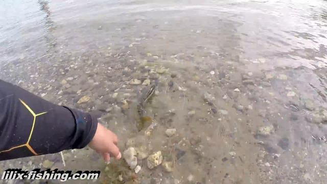 Голландия.Окунь (Рыбалка в Голландии) смотреть онлайн