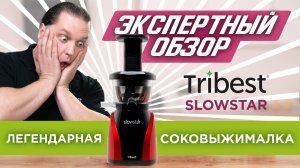 Экспертный обзор лучшей соковыжималки современности – Tribest Slowstar