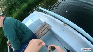 Микро джиг, ультра лайт, Keitech Swing Impact 2" cola