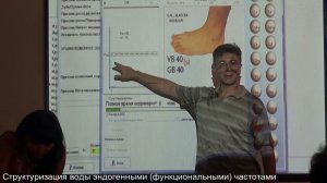 7 Структуризация воды и ферромагнитные носители