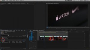 How To Add Pictures To Your Videos in Adobe Premiere