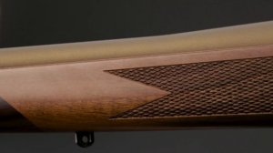 Weatherby Vanguard True North Rifle