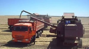 Комбайны Полесье GS10 и Полесье GS812 - выгрузка зерна. (Воскресенсая МТБС)