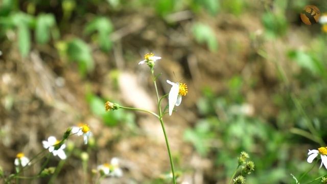 2 Hours Most Beautiful Romantic Saxophone Love Songs - Best Saxophone instrumental love songs смотреть онлайн