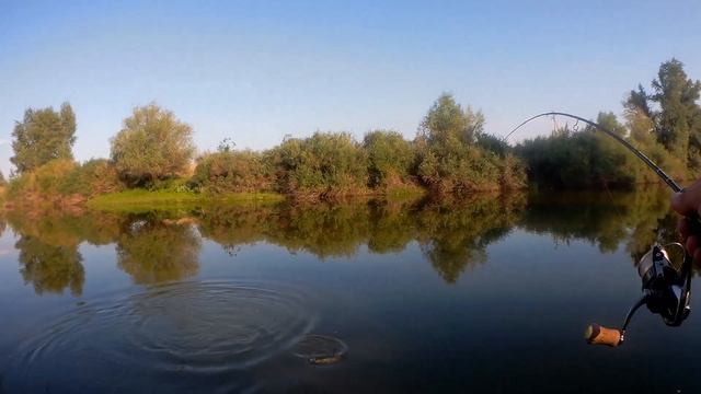 Обзор спиннинга XESTA BLACK STAR Solid 2nd Generation S511-S смотреть онлайн