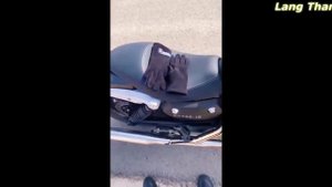 Listen Benda BD300 Chinchilla Exhausts Modified