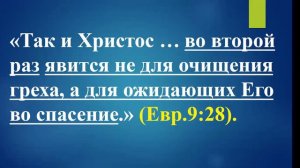 Вечное Евангелие 10 часть. "Земля осветилась от славы Его"