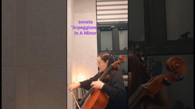 Arpeggione sonata