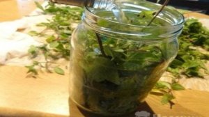 Домашний мятный ликер