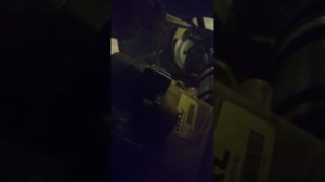 Чудит сервопривод гепарда