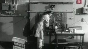 Последняя любовь Энштейна