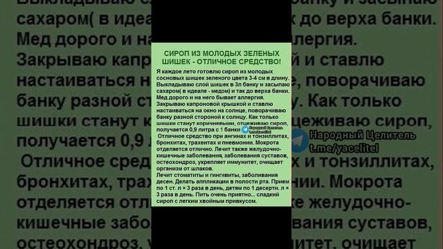 отличное средство из зелёных шишек #народнаямедицина #медицина #рецепт
