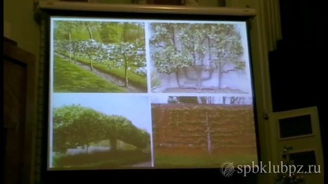 Семинар 10. Садовый дизайн. Часть 1. смотреть онлайн