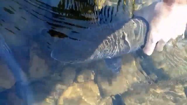 Таймень в Башкирии,4.6кг смотреть онлайн