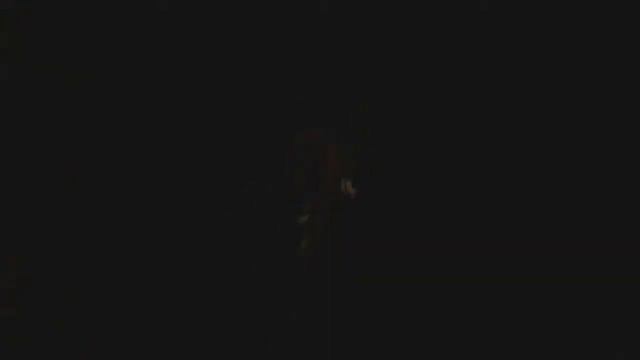 VLOG: Прогулка с Ричардом | Richard Dog | RD | Немецкий боксер смотреть онлайн