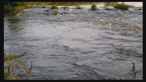 5 ТИПОВ НЕГОДНЫХ ДЕВУШЕК ДЛЯ ОТНОШЕНИЙ | С КАКИМИ ЖЕНЩИНАМИ НЕ НАДО СТРОИТЬ ОТНОШЕНИЯ | ТРЭШ Labs