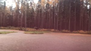 город Дорогобуж парк имени Юрия Гагарина 1 космонавта