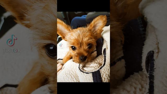 3 июля 2022 г. смотреть онлайн