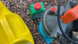 Обработка роз в кашпо препаратом Абига-Пик??♀️???♀️???♀️