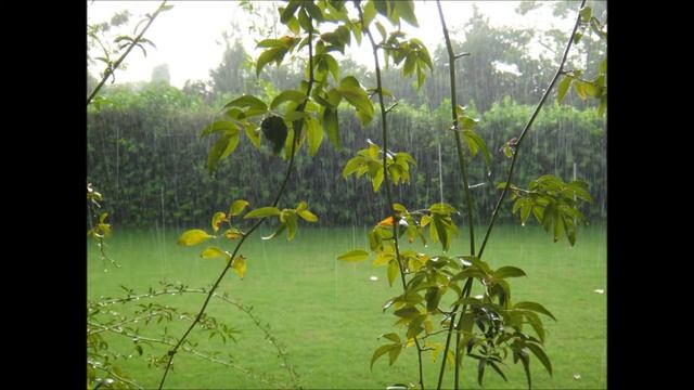 Nice Pictures смотреть онлайн