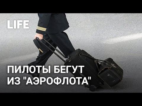 Политика не жизнь 2 дзен