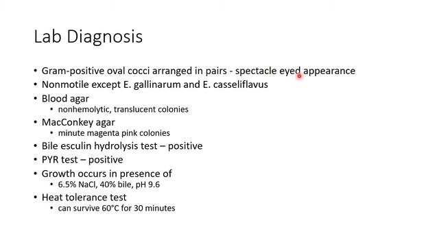 Enterococcus - Microbiology