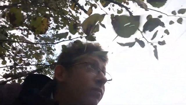 сложный маршрут - прогулка от Москвы до ст. Востряково / из Клуба путешественников смотреть онлайн