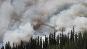 Как Выжить Во Время Извержения Вулкана