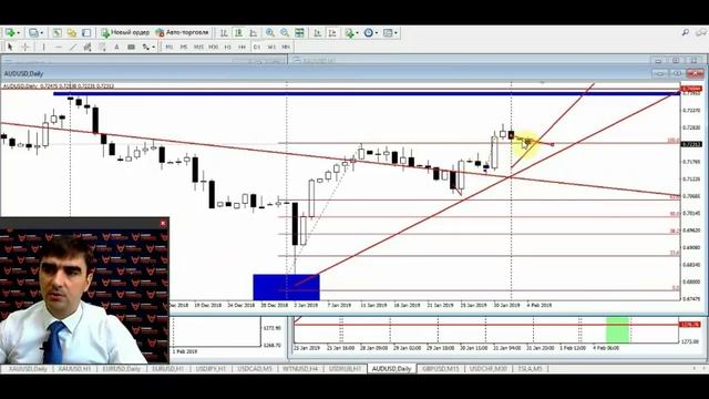 Обзор рынка от Академии Трейдинга и Инвестиций с Гаценко Андреем 04.02.2019 смотреть онлайн