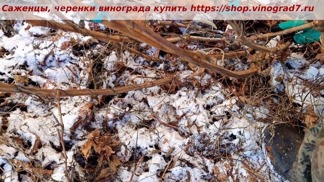 Ледяной дождь 139. Фырь фырь по снегу. Горка с выпавшим снегом. Все тексты на впр про зиму. Выпавший снег впр.