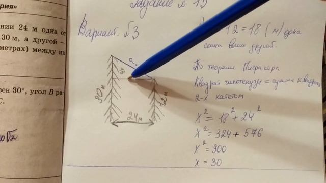 ОГЭ по математике. Две сосны растут на расстоянии (Вариант 3) задание 15