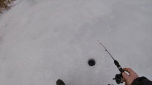 Рыбалка 1 января 2023г. Ловля хищника на ратлины и балансиры.