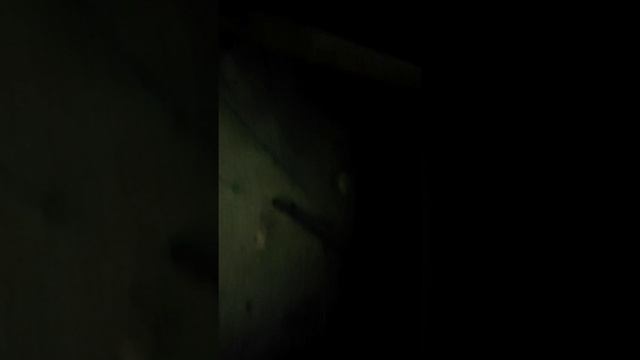 Как настроить спутниковую антенну, почему пропадает сигнал. да очень просто. смотреть онлайн