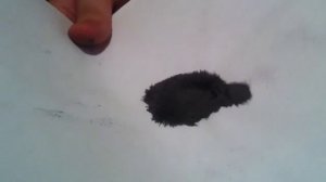 Железная пыль и постоянный магнит