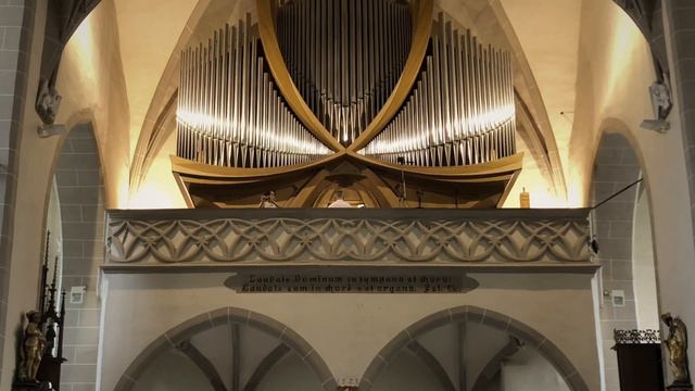 Ch. W. Gluck - Melody from "Orfeo and Euridice" | Flute and Organ | Júlia Burášová & Tomáš Labanc смотреть онлайн