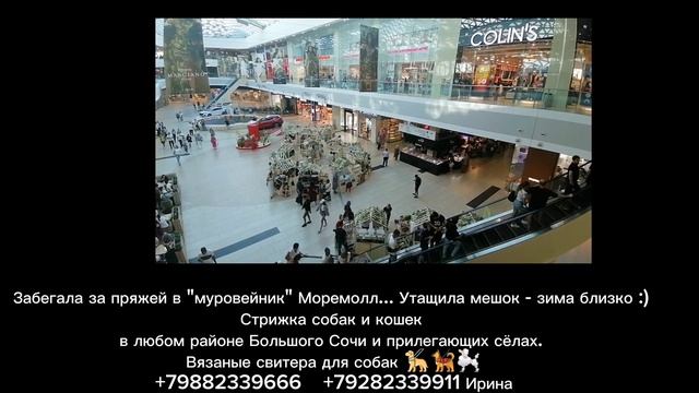 Пряжа, пряжа, пряжа...