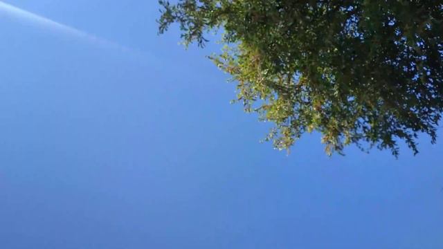 10 июня рыбалка ч.1 смотреть онлайн