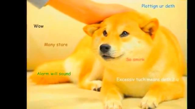 DOGE MEME SONG !●
